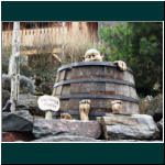 Rheinsteig II 007.jpg